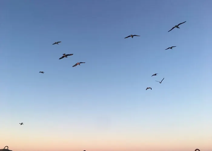 Sloneczny Wylotowa Appartement