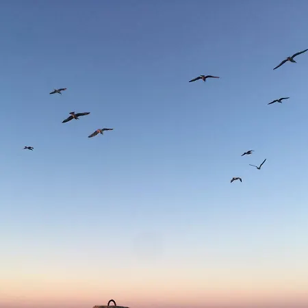 Sloneczny Wylotowa Apartman